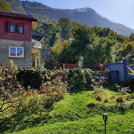 21 Pure Relaxation In The Heart Of Brasov! Apartment